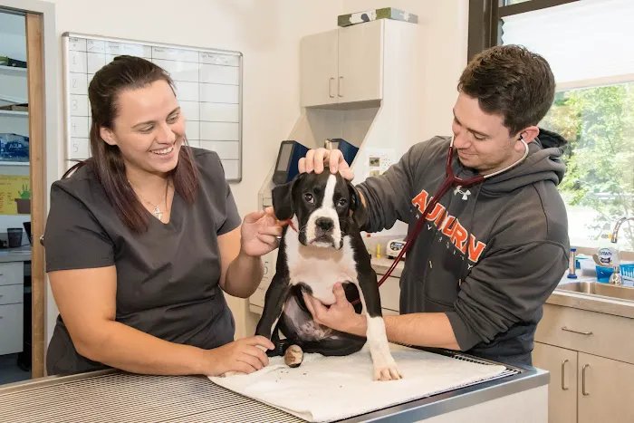Common Companion Vet Co. Picture 10