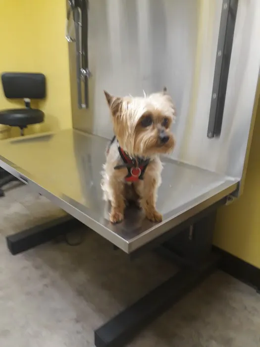 Columbia Belvedere Animal Hospital Picture 2