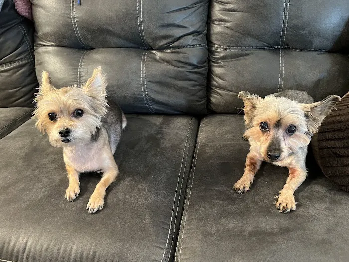 Columbia Belvedere Animal Hospital Picture 7