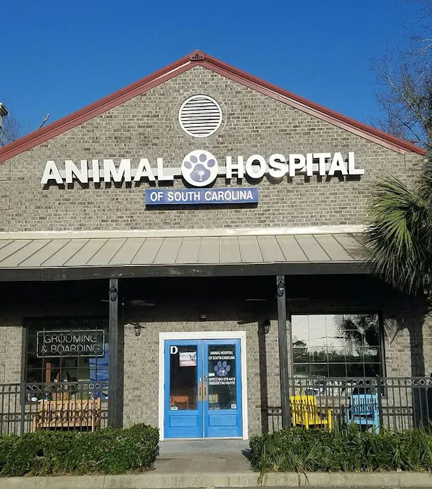 Animal Hospital of South Carolina Picture 10