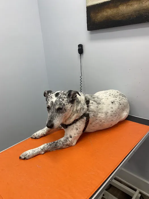 McNeal Veterinary Picture 6