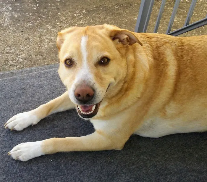 Ashland Animal Clinic Picture 5