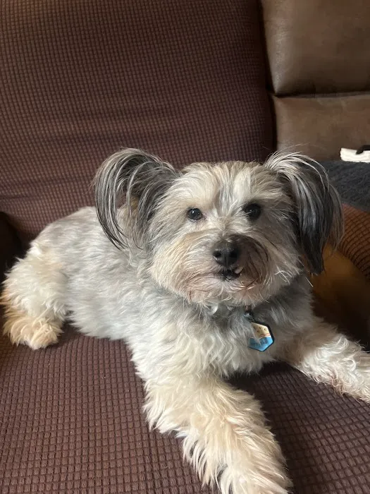 Cannonsburg Companion Animal Care Picture 1