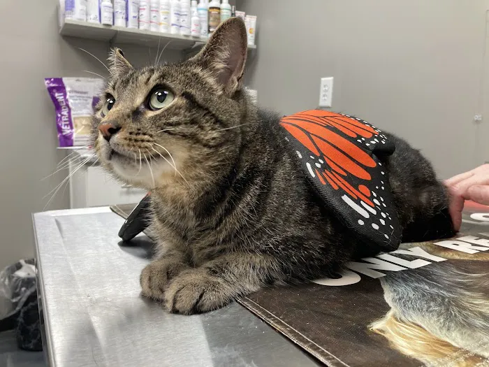 Cannonsburg Companion Animal Care Picture 8