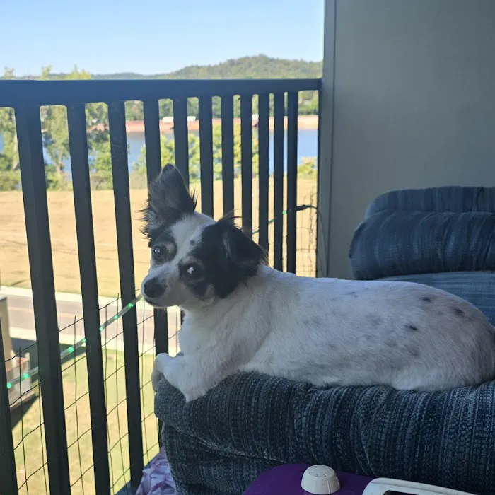 Cannonsburg Companion Animal Care Picture 9