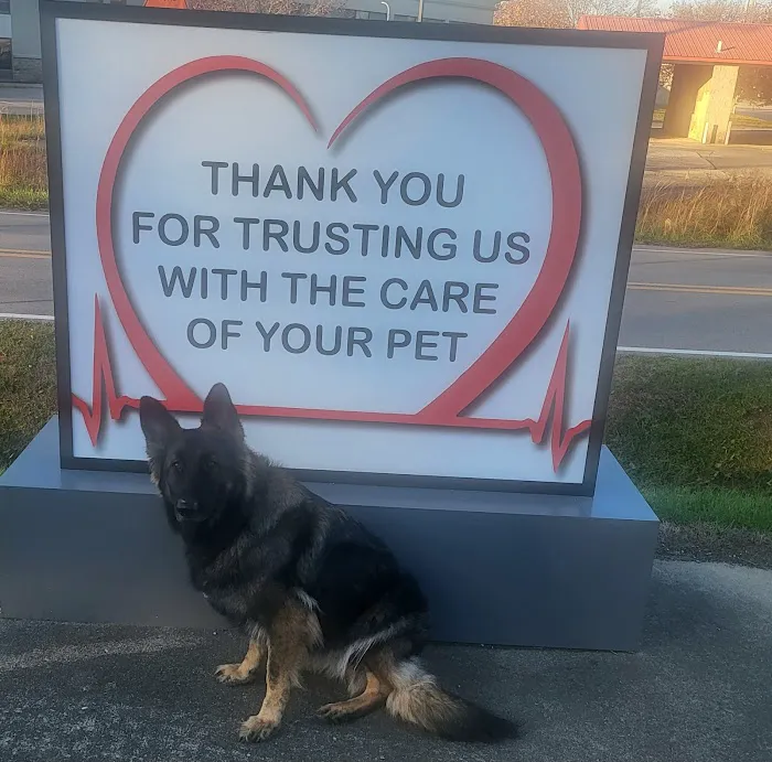 Cannonsburg Companion Animal Care Picture 6