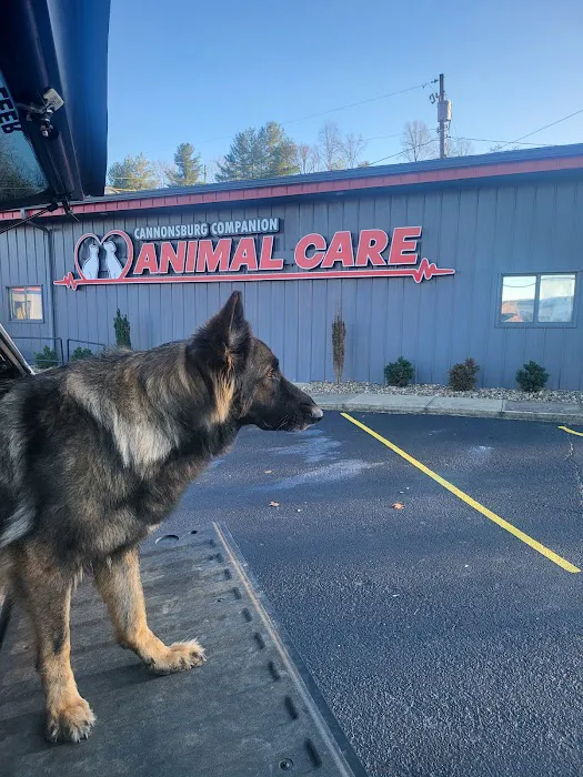 Cannonsburg Companion Animal Care Picture 10