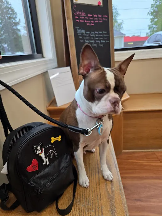 All About Animals Veterinary Clinic Picture 3