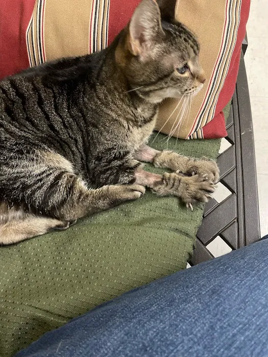 Guardian Animal Medical Center Picture 4