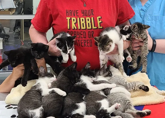 Guardian Animal Medical Center Picture 10