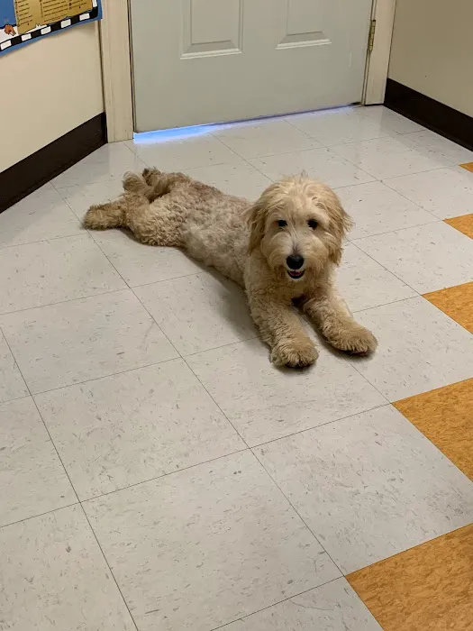 Guardian Animal Medical Center Picture 7