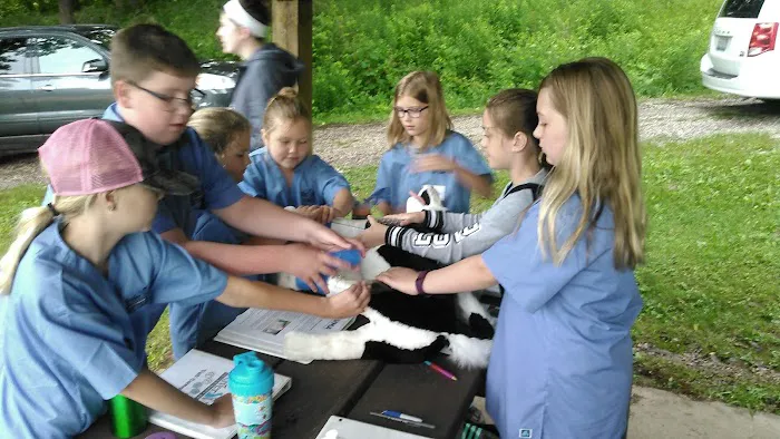River View Veterinary Service Picture 7