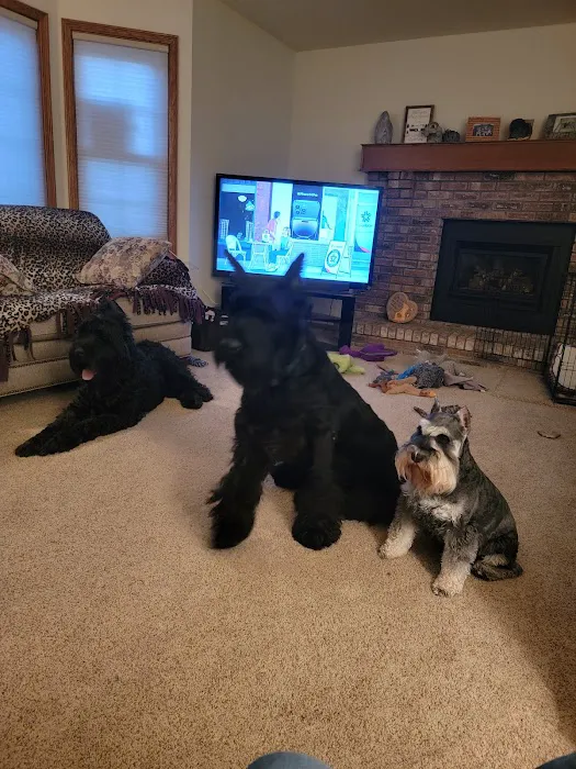 DeWitt Pet Hospital Picture 7