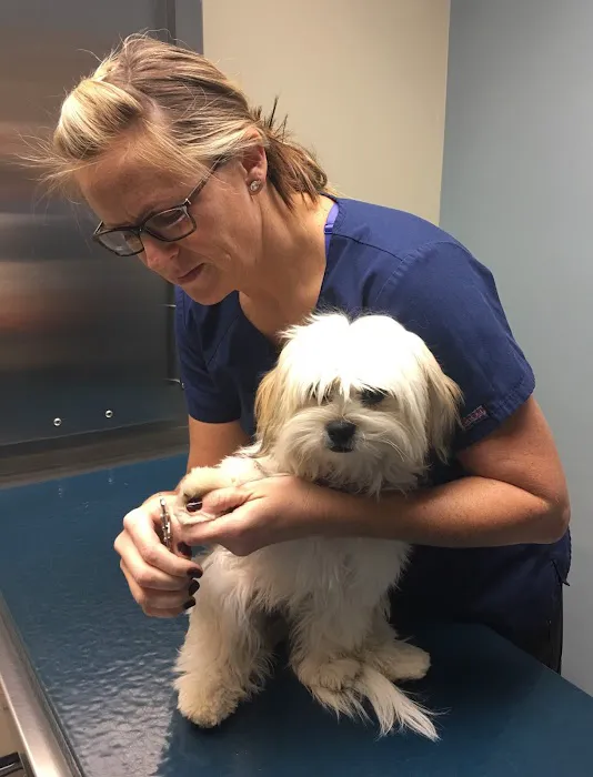 Scott County Animal Hospital Picture 1