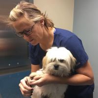 Scott County Animal Hospital ico