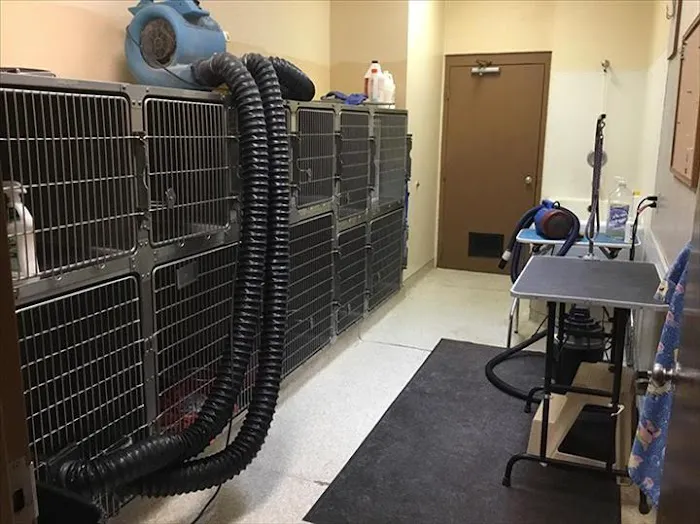 Eldridge Veterinary Clinic P.C. Picture 1