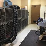 Eldridge Veterinary Clinic P.C.