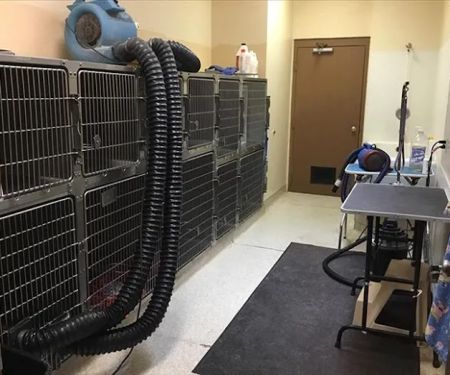 Eldridge Veterinary Clinic P.C.