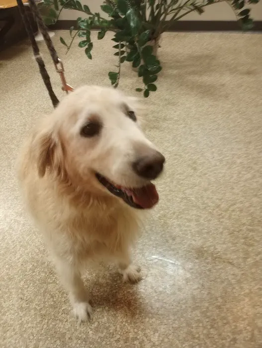 Eldridge Veterinary Clinic P.C. Picture 9