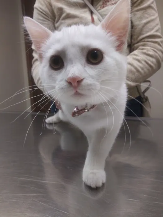 Eldridge Veterinary Clinic P.C. Picture 8