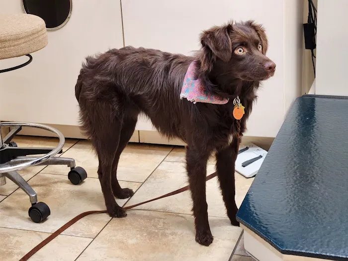 Risius Family Veterinary Service Picture 8
