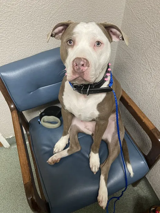 Twin Bridges Animal Hospital Picture 4