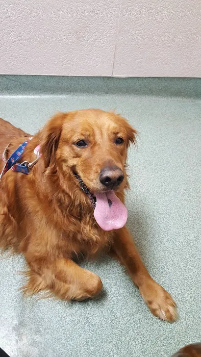 Twin Bridges Animal Hospital Picture 6