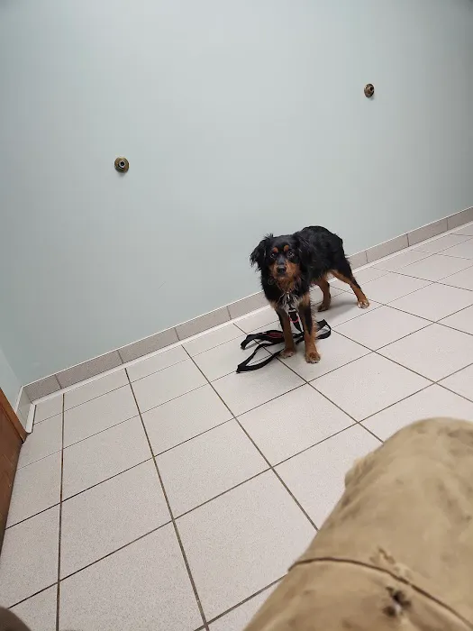 Oakwood Veterinary Service Picture 1