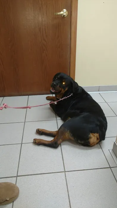Deke Carls, DVM Picture 1