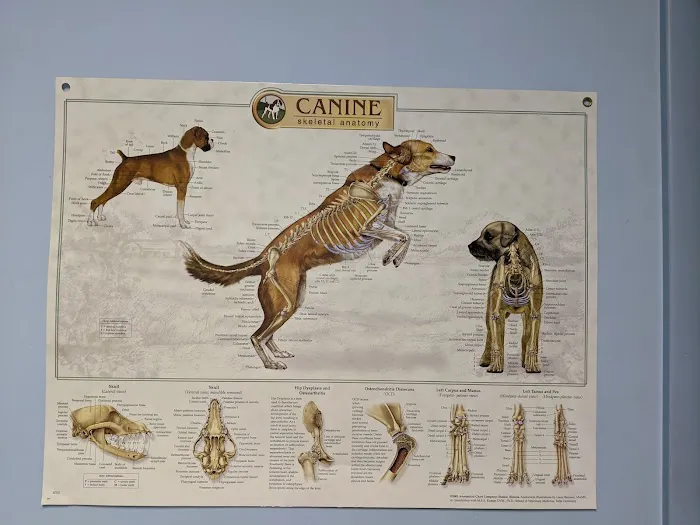 Colona Animal Health Center Picture 1