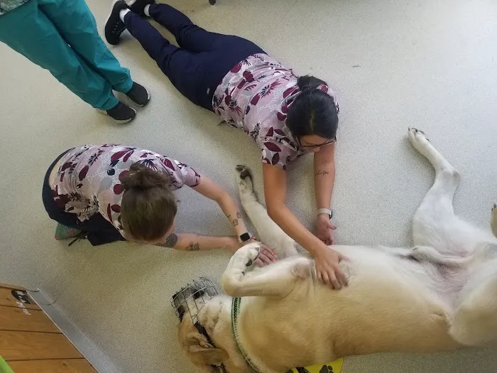 Colona Animal Health Center Picture 9