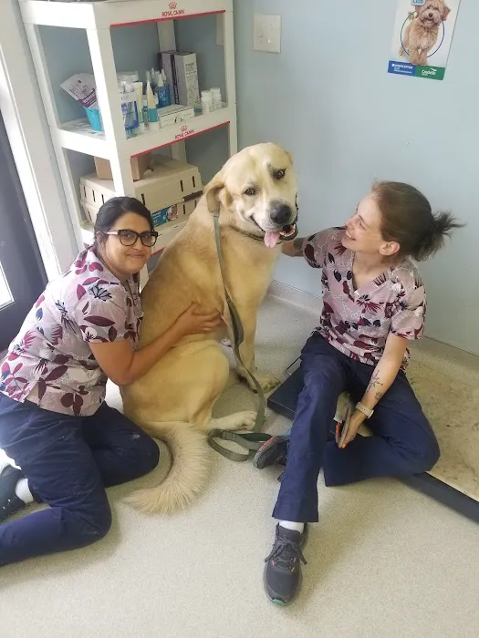 Colona Animal Health Center Picture 10