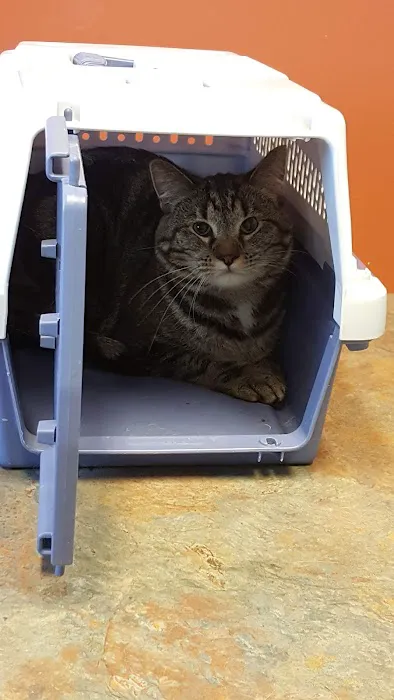 Orion Veterinary Clinic, Inc Picture 6