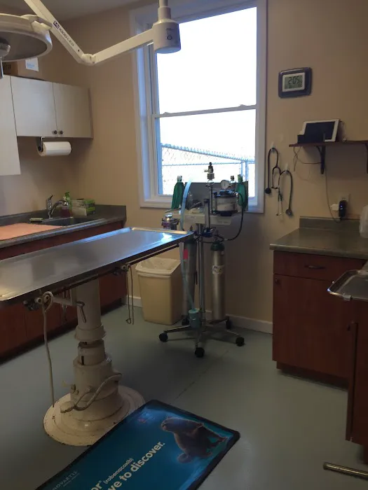 Orion Veterinary Clinic, Inc Picture 7