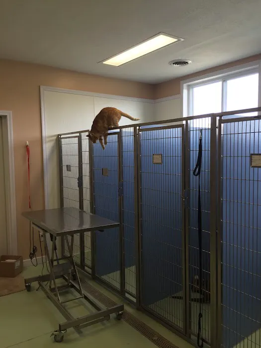 Orion Veterinary Clinic, Inc Picture 10