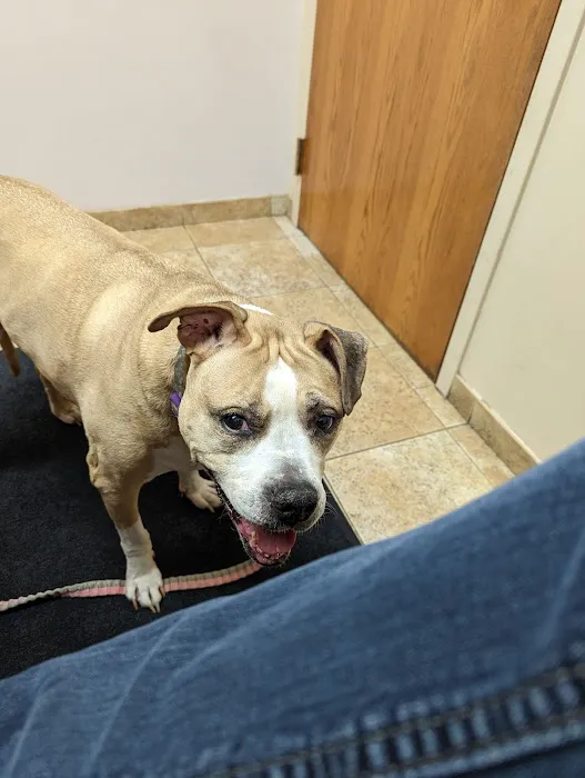 Furever Family Veterinary Care Center Picture 4