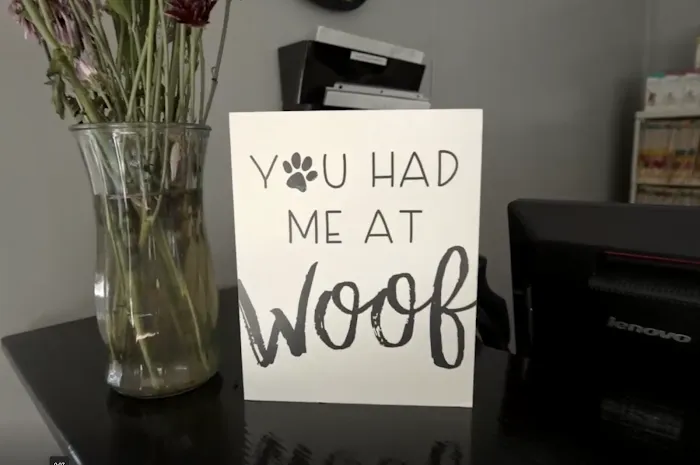 Wags and Whiskers Veterinary Service Picture 10