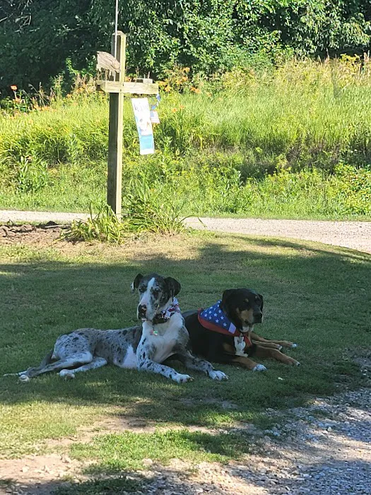 Lundeen Animal Hospital Picture 7