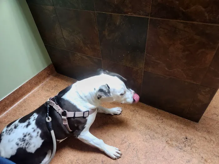 Lena Veterinary Clinic Picture 6