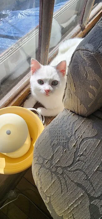 Lena Veterinary Clinic Picture 9