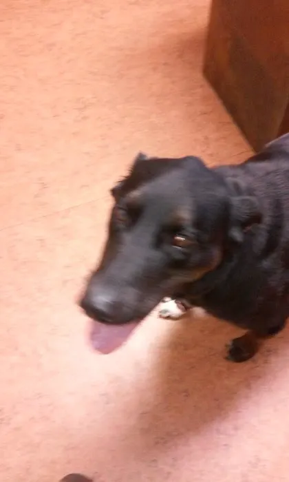 Lena Veterinary Clinic Picture 7