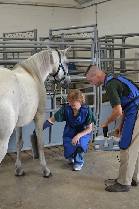 Brodhead Veterinary Medical Center Picture 4