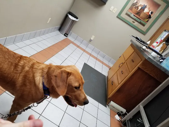 Brodhead Veterinary Medical Center Picture 5