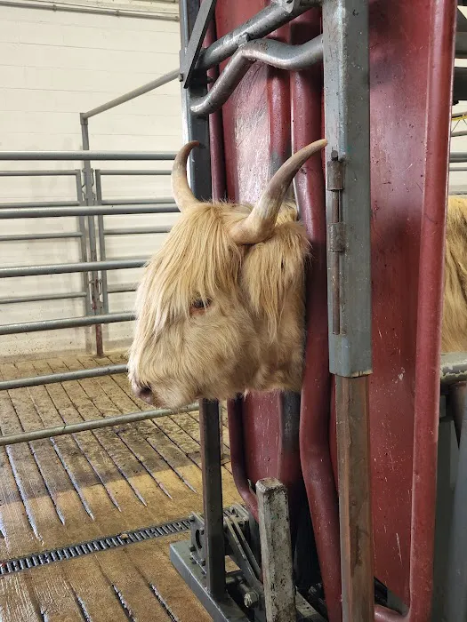 Brodhead Veterinary Medical Center Picture 6