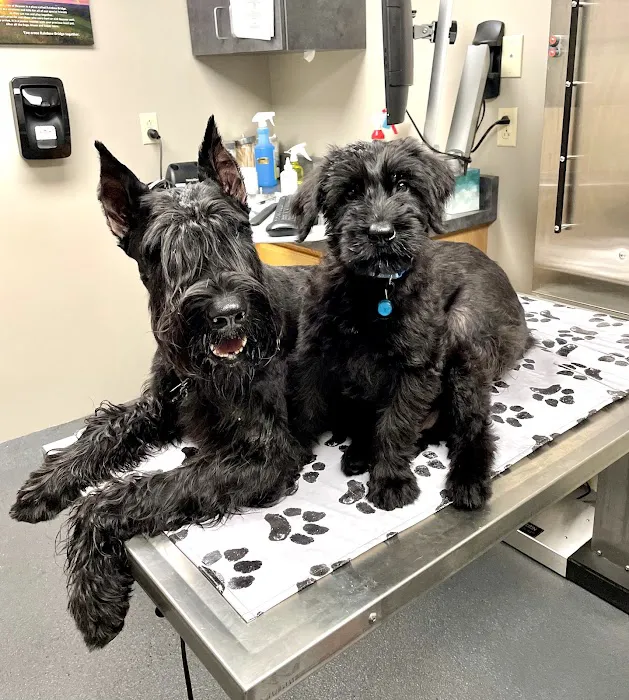 Brodhead Veterinary Medical Center Picture 7
