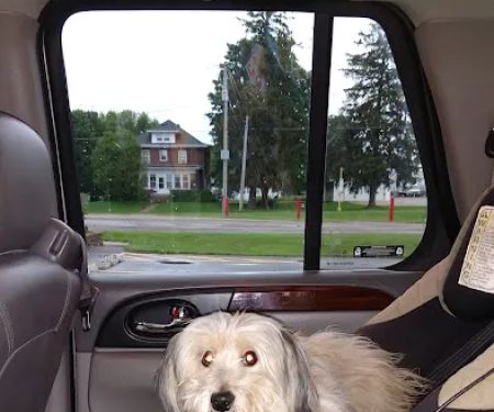 Brodhead Veterinary Medical Center