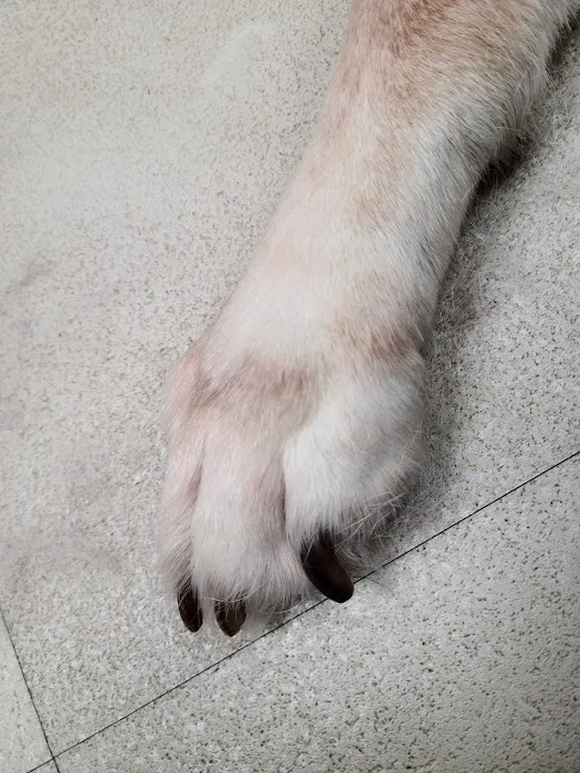 Brodhead Veterinary Medical Center Picture 2