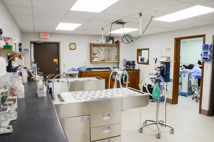 Brodhead Veterinary Medical Center Picture 8