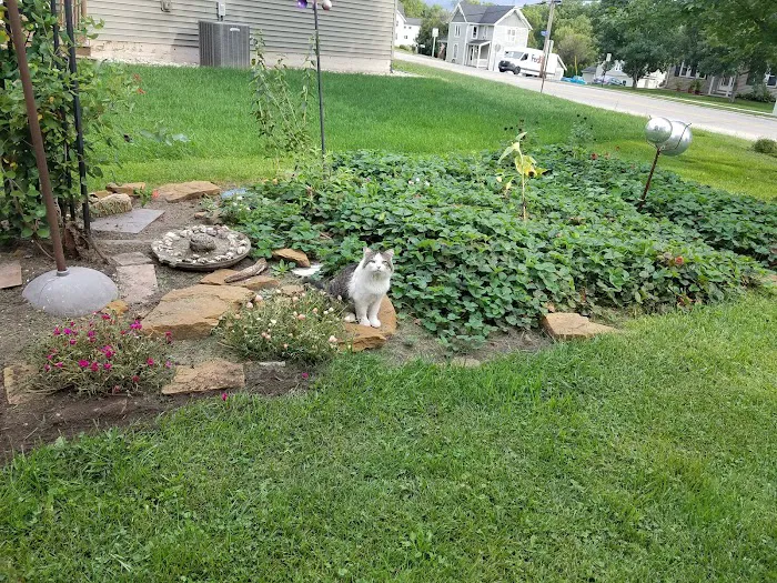Argyle Veterinary Service SC Picture 5