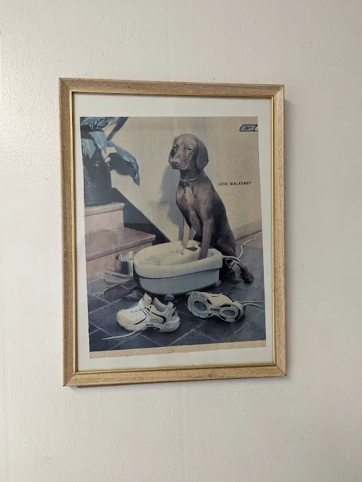 Veterinary Medical Services Corporation Picture 4
